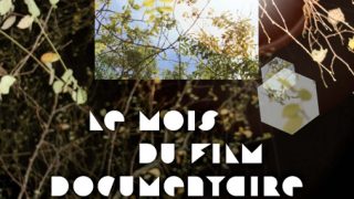 Le Mois du Film Documentaire à Saint-Brieuc (22)
