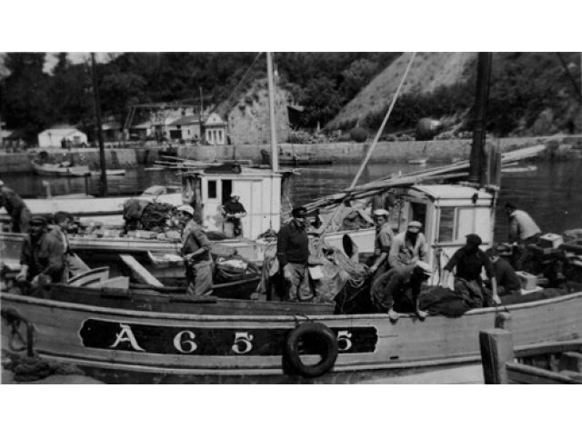 Belle-île 1950, les années sardines