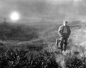 CINÉCONCERT : L'AURORE de Murnau interprété par Mellano
